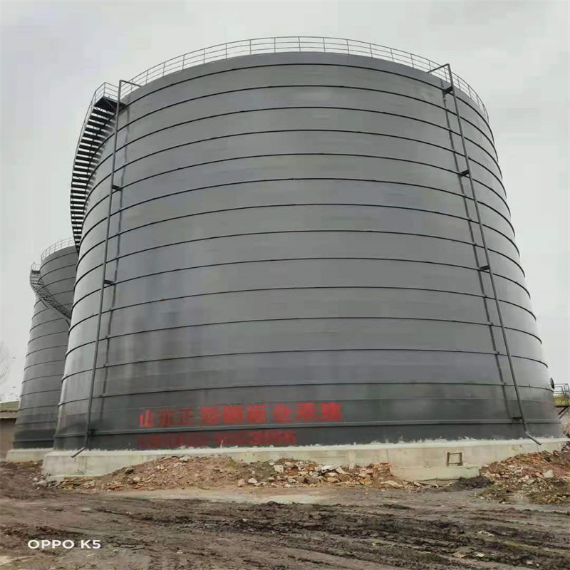 长丰3万吨大型钢板库