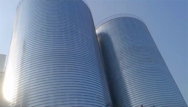 长丰2座混凝土高架卷板仓